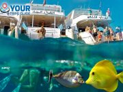 Paradise Island Snorkeling Sea Trip - Hurghada
