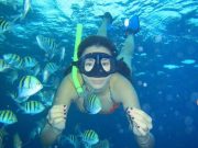 Utopia Island Snorkeling Sea Trip