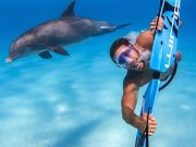 Four Hours Dolphin House Speed Boat & Water Sport (Semi- Private)