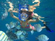 Utopia Island Royal VIP Snorkeling Sea Trip