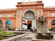 Cairo Over day Trip (Pyramids & Egyptian Museum)